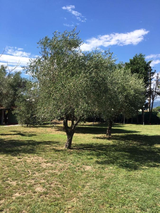 Villa Fragolina Per Due à Lucques Extérieur photo